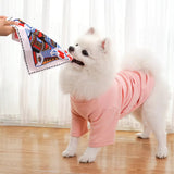 Dog Chew Toy Set - 10 Piece Playing Card Crinkle Sound Toys for Dogs(K) - Top-Down View