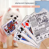 Dog Chew Toy Set - 10 Piece Crinkle Newspaper Sound Toys for Dogs - Front View