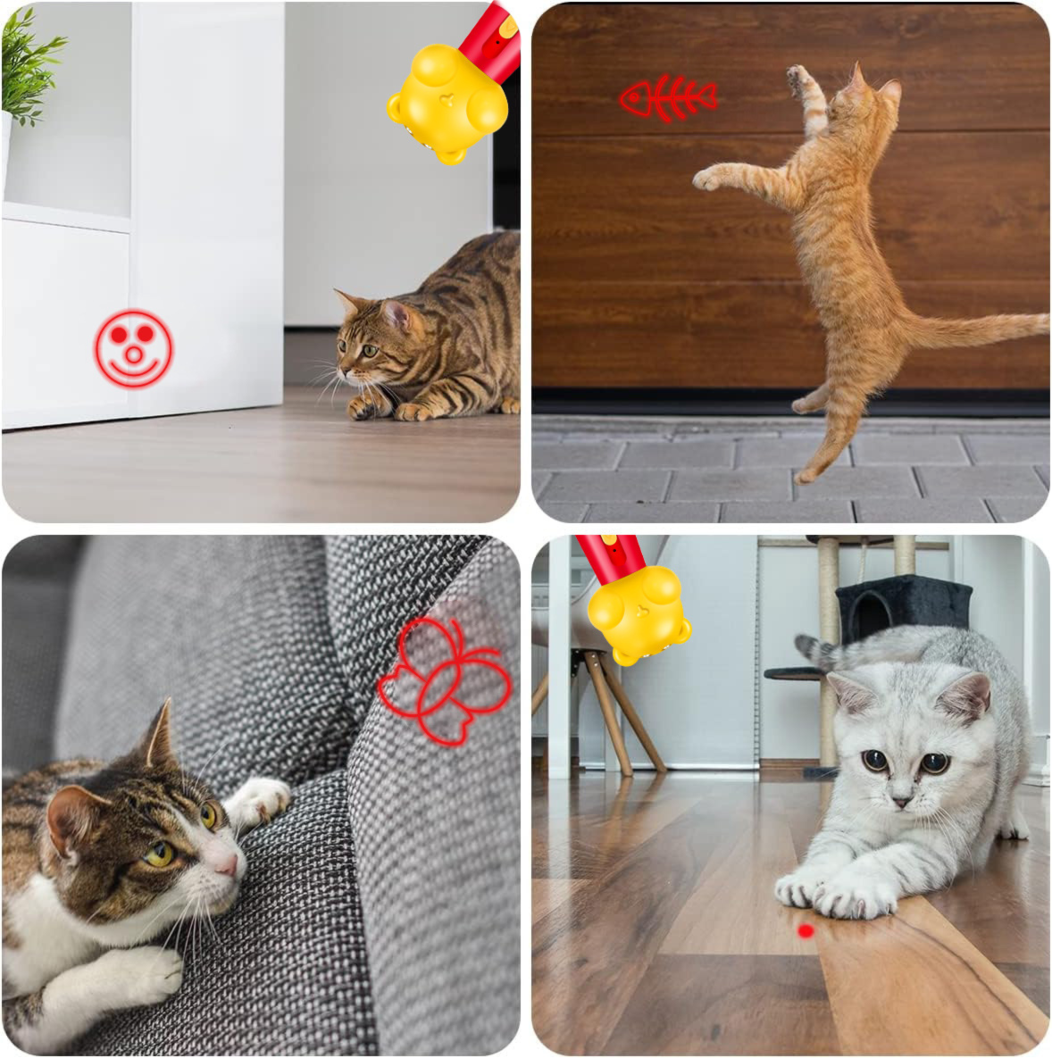 Pink Bear Laser Cat Toy Set - 2 Piece USB Rechargeable Multi Pattern Laser Pointer with UV and White Light for Cats