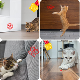 Purple Bear Laser Cat Toy Set - 2 Piece USB Rechargeable Multi Pattern Laser Pointer with UV and White Light for Cats