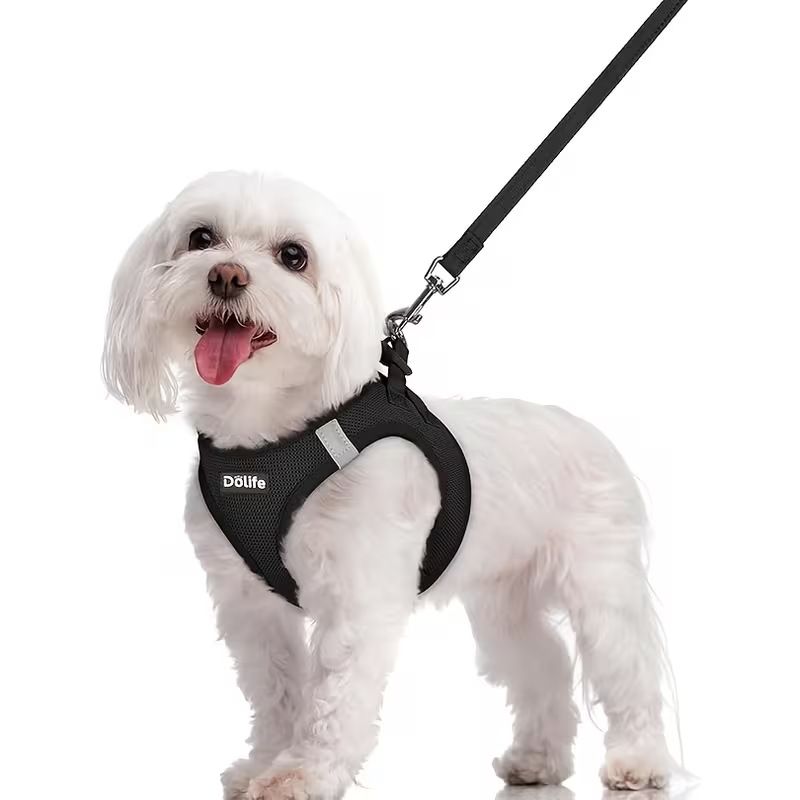 Black Breathable Dog Harness and Leash Set - Adjustable Reflective Pet Vest with Swivel Clip(Size: M)