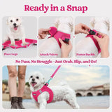 Black Breathable Dog Harness and Leash Set - Adjustable Reflective Pet Vest with Swivel Clip(Size: M)