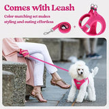 Blue Breathable Dog Harness and Leash Set - Adjustable Reflective Pet Vest with Swivel Clip(Size: S) - Rear View