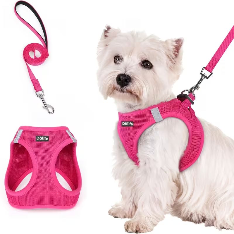 Rose red Breathable Dog Harness and Leash Set - Adjustable Reflective Pet Vest with Swivel Clip(Size: M)