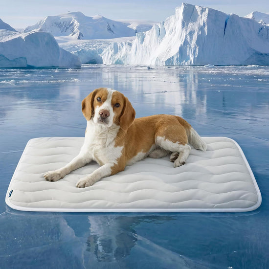 51 x 41 CM Grey Premium Wave Quiltied Pet Cooling Mat - Washable Self-Cooling Blanket with Anti-Stick Hair Surface & Non-Slip Base for Cats Dogs and Human Versatile Use