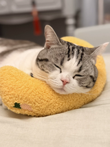 Yellow Pet U-Shaped Pillow - Soft Teddy Velvet Neck Support Cushion for Dogs and Cats, Deep Sleep Aid with Embroidered Design, Lightweight and Comfortable Pet Bed Accessory - Low Angle