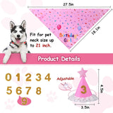 Pink Pet Birthday Bandana and Hat Set - Soft Cotton, Double-Sided Print, Adjustable Party Hat with Number - Cute Dog Birthday Accessories for Photo Props and Celebration - Front View
