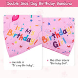 Pink Pet Birthday Bandana and Hat Set - Soft Cotton, Double-Sided Print, Adjustable Party Hat with Number - Cute Dog Birthday Accessories for Photo Props and Celebration - Side View