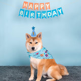 Pink Pet Birthday Bandana and Hat Set - Soft Cotton, Double-Sided Print, Adjustable Party Hat with Number - Cute Dog Birthday Accessories for Photo Props and Celebration - Low Angle
