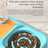 Grey and  White Cat & Dog Feeding Station with Water Dispenser – Elevated Stainless Steel Pet Bowl Set with Slow Feeder, Anti-Spill Design and Automatic Water Supply - 45-Degree Angle