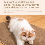Brown S size 40*60cm Soft Cat Scratching Mat & Lounge Bed – Durable Furniture Protector Rug, Washable Scratch Pad for Cats and Small Pets