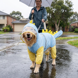 Blue Dog Raincoat Dinosaur Hooded Waterproof Jacket 5XL Size with Leash Hole Removable Tail Cover Full Body Coverage Pet Rain Coat for Outdoor Walking Large Dogs