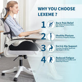 Memory Foam Seat Cushion & Lumbar Support Pillow Set – Ergonomic Office Chair & Car Seat Pad for Lower Back Pain Relief, Hip & Back Comfort - Front View