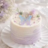 Color Butterfly Holographic Cake Stickers PET Seashell Gloss Butterfly Cake Decorations DIY Dessert Toppers Party Supplies 20pcs x 2 Packs - Front View