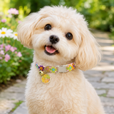 Floral Lace Pet Collar with Bell and Charm (Orange version)- Adjustable Polyester Cat Collar for Small Dogs and Cats, Colourful Embroidered Neck Collar, Cute Puppy Kitten Accessory, 18-30cm - Side View