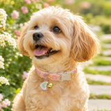 Floral Lace Pet Collar with Bell and Charm (Heart-shaped design)- Adjustable Polyester Cat Collar for Small Dogs and Cats, Colourful Embroidered Neck Collar, Cute Puppy Kitten Accessory, 18-30cm - Side View