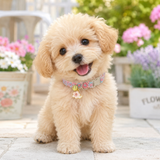Floral Lace Pet Collar with Bell and Charm (Cherry blossom design)- Adjustable Polyester Cat Collar for Small Dogs and Cats, Colourful Embroidered Neck Collar, Cute Puppy Kitten Accessory, 18-30cm - Front View