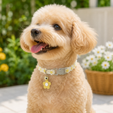 Floral Lace Pet Collar with Bell and Charm (White flower design)- Adjustable Polyester Cat Collar for Small Dogs and Cats, Colourful Embroidered Neck Collar, Cute Puppy Kitten Accessory, 18-30cm - Side View