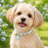Floral Lace Pet Collar with Bell and Charm (Blue flower design)- Adjustable Polyester Cat Collar for Small Dogs and Cats, Colourful Embroidered Neck Collar, Cute Puppy Kitten Accessory, 18-30cm - Side View