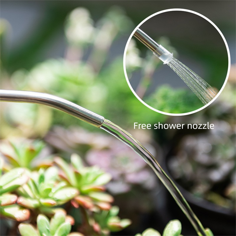 2L Green Long Spout Watering Can with Shower Head - Clear Plastic Indoor Plant Waterer for Succulents, Balcony Garden, Precise Watering Tool