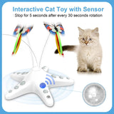 Starfish Butterfly Cat Teaser Toys - Side View