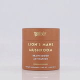 Teelixir Organic Lion's Mane Mushroom 100g - Extra Image