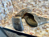 1x Just Cow Hooves - Side View