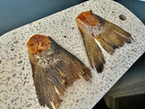 1x Just Salmon Tails - Side View