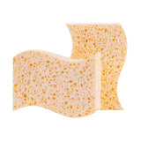 Clevinger 6PC Biodegradable Sponges - Top-Down View