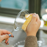 Clevinger 6PC Biodegradable Sponges - 45-Degree Angle