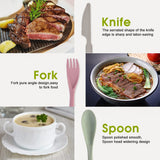 Clevinger Reusable Wheat Straw Fibre Cutlery Set with Case - Green