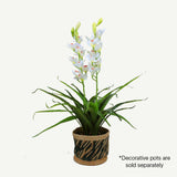100cm Faux Artificial Home Decor Potted  Cymbidium-Red/White - Red - Front View