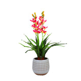 100cm Faux Artificial Home Decor Potted  Cymbidium-Red/White - Red - 45-Degree Angle