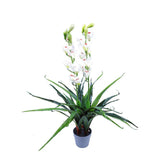 100cm Faux Artificial Home Decor Potted  Cymbidium-Red/White - White - Close-Up Angle
