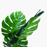 120cm Faux Artificial Home Decor Potted Monstera Plant - Top-Down View