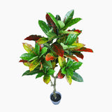 125cm Faux Artificial Home Decor Potted Codiaeum Plant - Side View