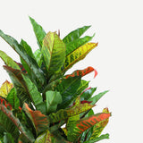 125cm Faux Artificial Home Decor Potted Codiaeum Plant - 45-Degree Angle