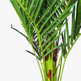 180cm Phoenix Palm - Artificial Plant, Home Decor Flora - Side View