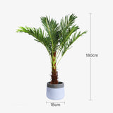 180cm Phoenix Palm - Artificial Plant, Home Decor Flora - Top-Down View