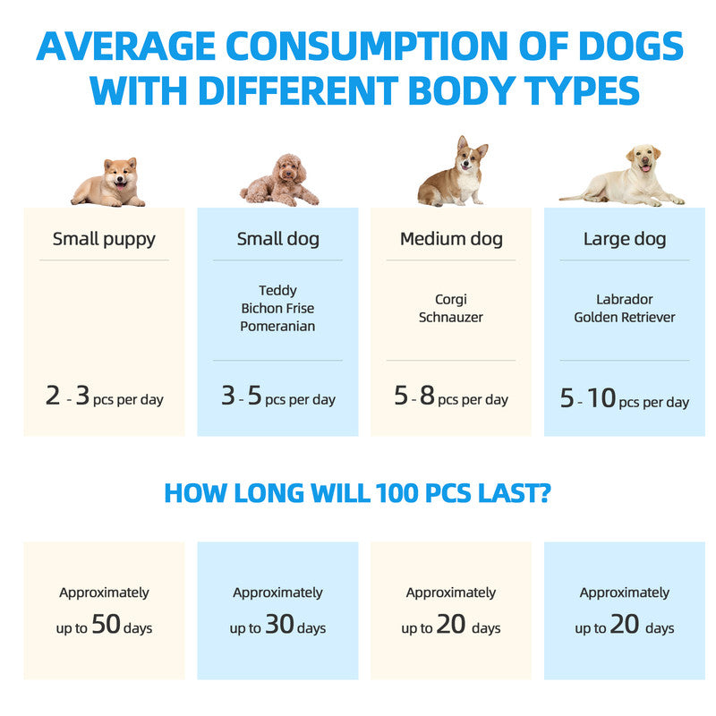 100pcs Dog Absorbent Training Pad 60 x 60 cm