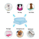 200pcs Dog Absorbent Training Pad 60 x 60 cm - Front View