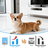 200pcs Dog Absorbent Training Pad 60 x 60 cm - Top-Down View