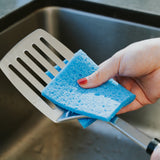 SPIFFY 3PC Cellulose Sponges - Front View