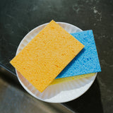 SPIFFY 3PC Cellulose Sponges - Top-Down View