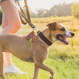 LIVINGTODAY Pet Dog Poop Dispenser and 15 Biodegradable Unscented Waste Bags - Front View