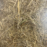 Hemp Absorbent Nest Material | 50g | 2 Pack + Free Shipping - Front View