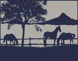 Ranch 5m x 2.4m recycled poly mat - Side View