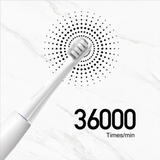 DR.BEI Sonic Electric Toothbrush GY1 White - Rear View