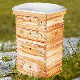 VEVOR Bee Hive 40 Frame Bee Hives Starter Kit, Beeswax Coated Cedar Wood, 2 Deep + 2 Medium Bee Boxes Langstroth Beehive Kit, Transparent Acrylic Windows with Foundations for Beginners Pro Beekeepers - Close-Up Angle