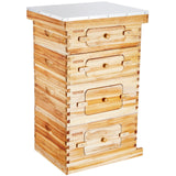 VEVOR Bee Hive 40 Frame Bee Hives Starter Kit, Beeswax Coated Cedar Wood, 2 Deep + 2 Medium Bee Boxes Langstroth Beehive Kit, Transparent Acrylic